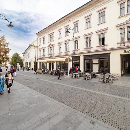 City Spirit Studio - Piata Mare & Balcescu View Sibiu Extérieur photo